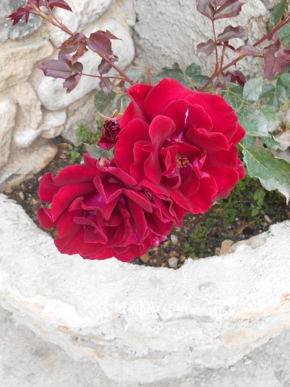 Le Mas Des Baux Bedoin Exterior photo