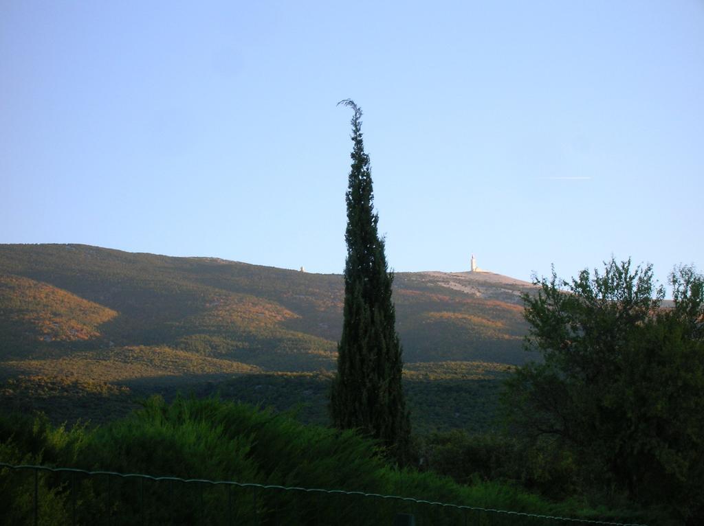 Le Mas Des Baux Bedoin Exterior photo